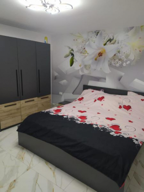 Casa Andreea